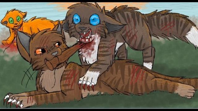 Коршун коты воители