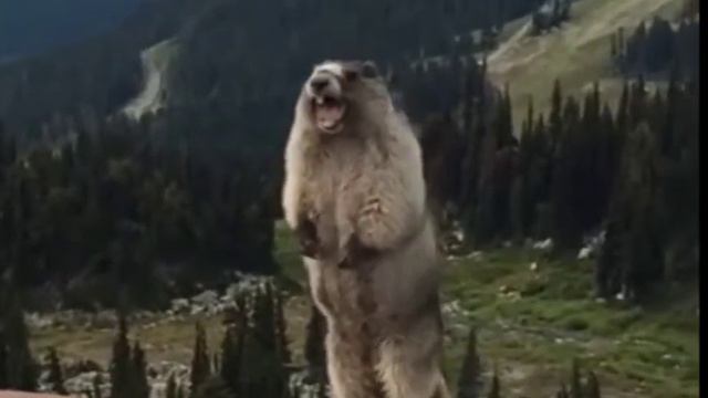 А-а-а смотреть онлайн