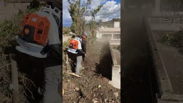 Soplador Stihl BR 800