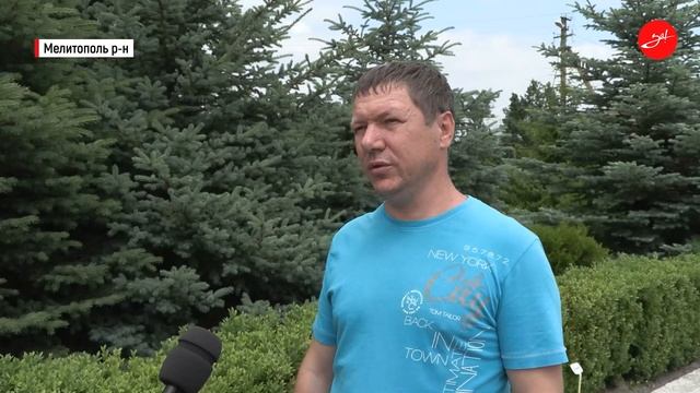 В Запорожской области ежегодно высаживают около 100 гектар леса