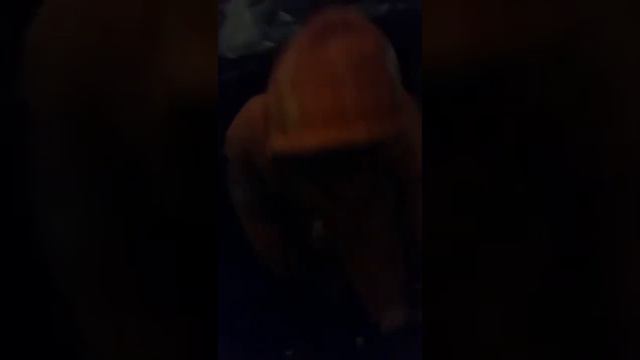 обзор находок из мусорки ,что можно найти на помойки ,краснодара//100 тыс в тикток смотреть онлайн