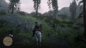 Найден друг Гэвина(I found  Gavin´s friend)#Red Dead Redemption 2