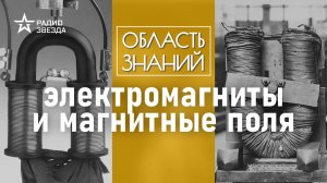 Как магнитное поле влияет на человека? Лекция учителя физики Ярослава Свайкина