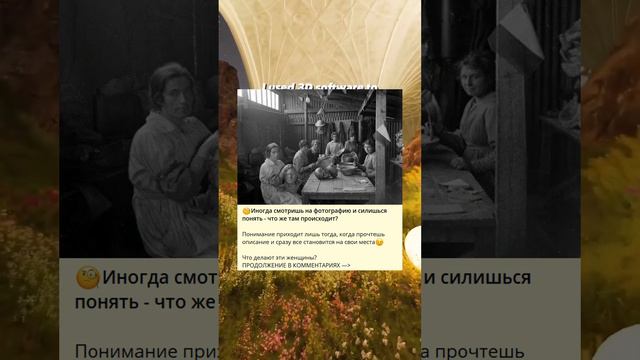 🧐Иногда смотришь на фотографию и силишься понять - что же там происходит?