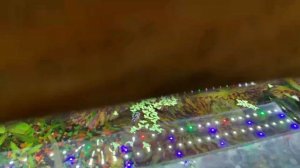 Растения в аквариуме как растить и нужен ли им CO2 или не нужен ??