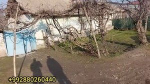 Хонаи фуруши срочна точкаш зури бадай,   н, Фархор  26 декабря 2022 г.