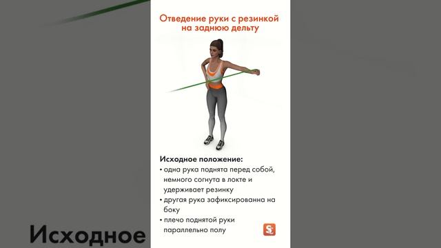 ? Отведение руки с резинкой на заднюю дельту