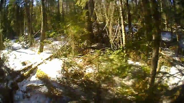 Егерский выезд 06 апреля 2018 г смотреть онлайн