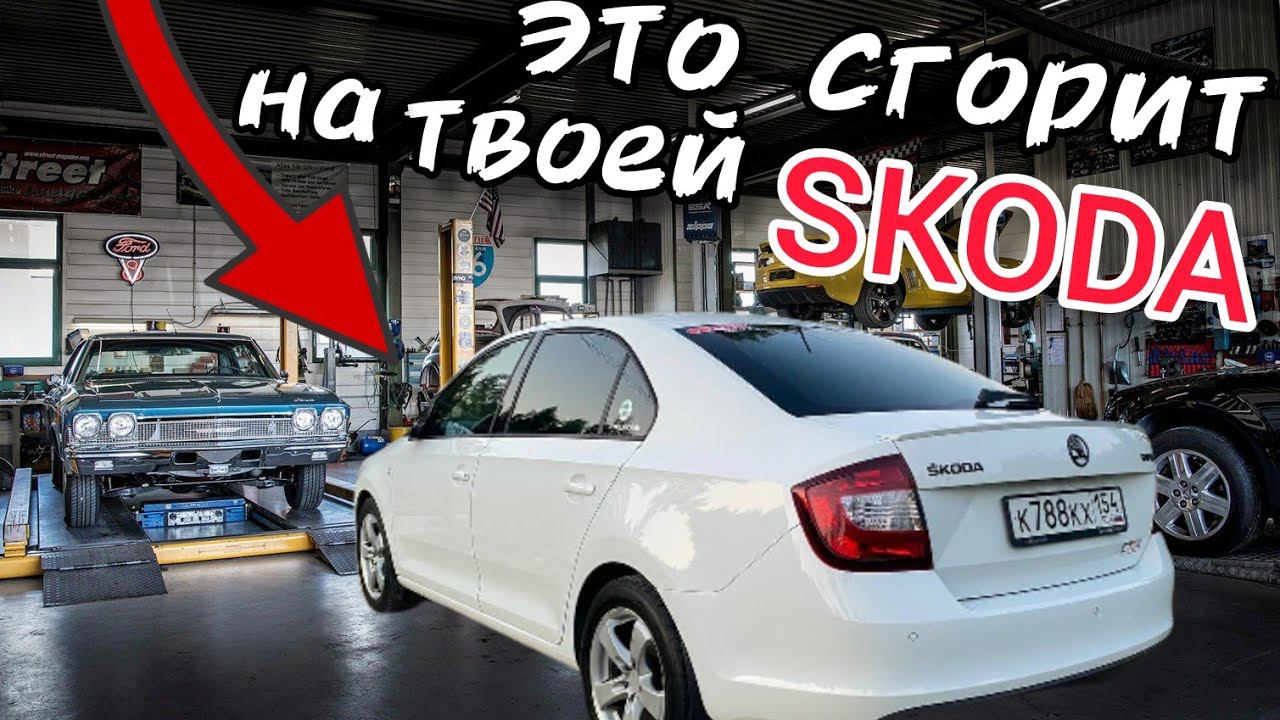 Пересвет салона Skoda Rapid. Сгорели стеклоподъёмники.
