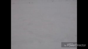 ДЕЛАЕМ САМОДЕЛЬНЫЙ КАТОК!ДОМА!