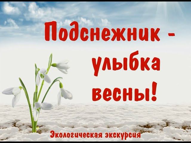 "Подснежник    улыбка весны": экоурок о защите первоцветов (к Всемирному Дню подснежника)