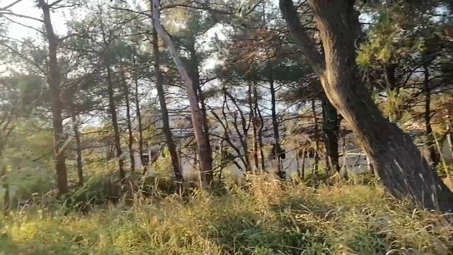 Заброшенный детский лагерь 