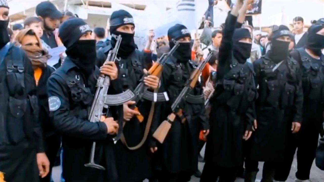 Соединенные Штаты щедро снабжали сирийских террористов и деньгами, и оружием