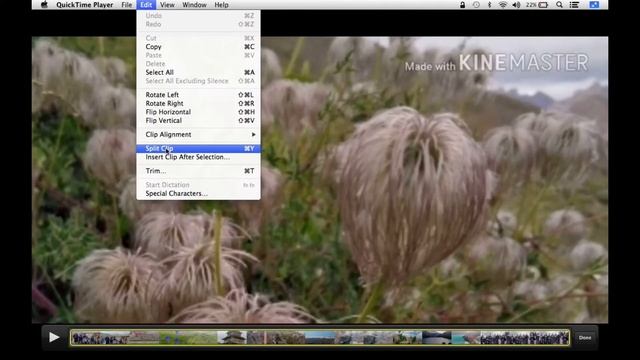 How to easily Spilt Video from Quick Time Player from ? Macspilt videos quickapp .