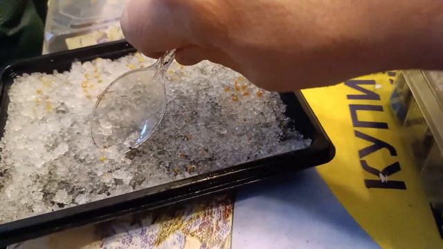 Рассада томатов в гидрогеле 2023 смотреть онлайн