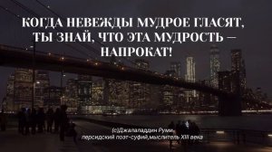 Джалаладдин Руми, Цитаты и Афоризмы, которые способны перевернуть твой мир!