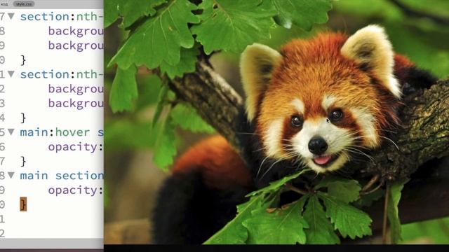 HTML и CSS - Идеи лендинг пейдж. Практика html5 и css3 | Верстка сайта с нуля. Может пригодиться