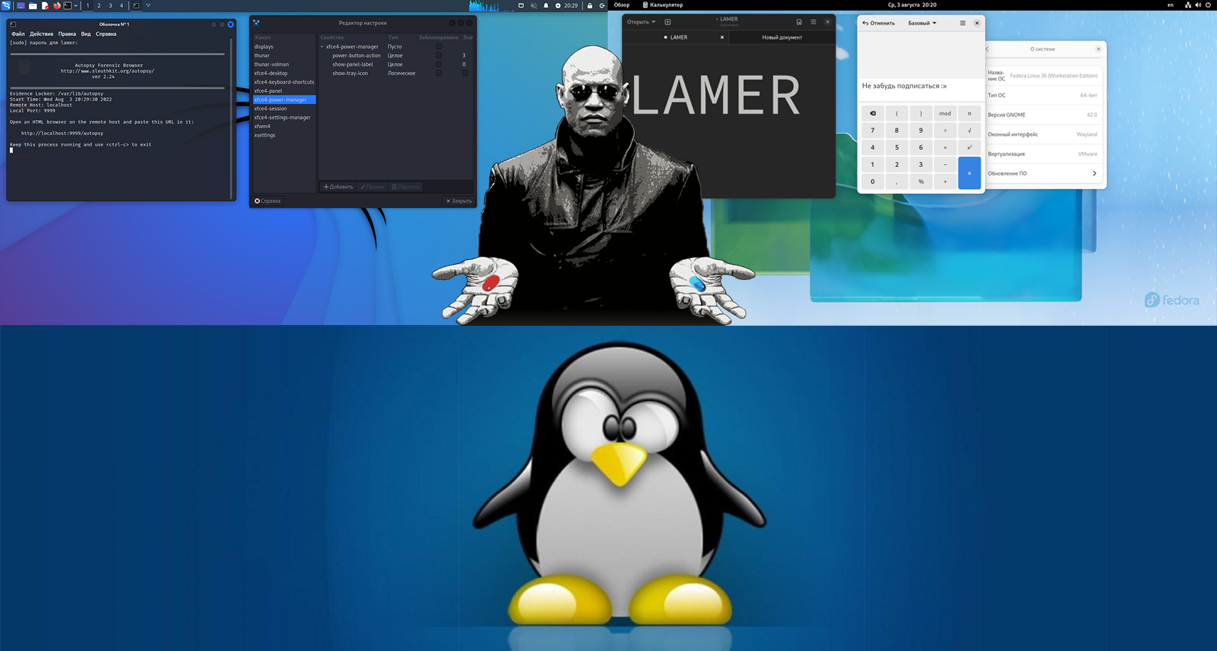 Lana Linux. Fedora linux 39