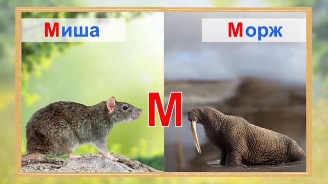 Українська абетка з тваринами. Алфавіт для дітей.