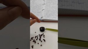 Обзор гранат альмандин