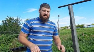 Солю сырые грузди / Вкусный рецепт засолки груздей / #грузди