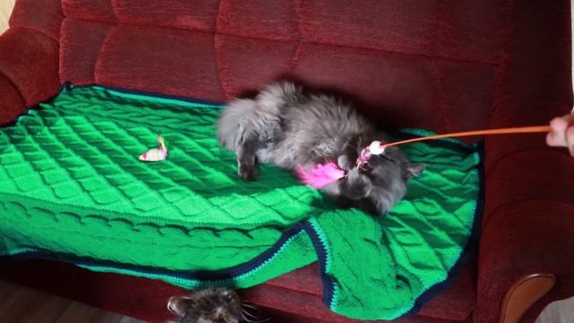 3 вязанных пледа спицами, авторские работы, своими руками, схемы вязания вязание пледа ручной работ