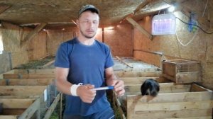 ТЕМПЕРАТУРА В КРОЛЬЧАТНИКЕ ИЗ ПЕНОПЛАСТА ЛЕТОМ