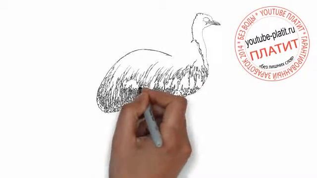 Как нарисовать страуса смотреть онлайн