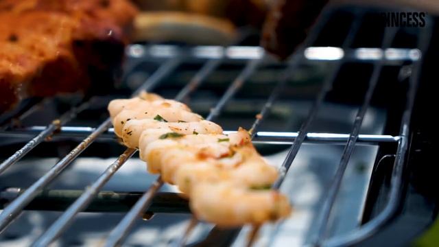 Princess 112252 Barbecue polyvalent смотреть онлайн