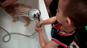 Как выкупать кота в ванной. Марк моет Бутуза под душем.