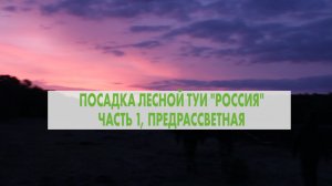 Туя "Россия". Часть 1. Предрассветная.