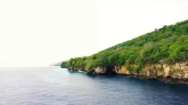 Кокосовые Острова и Гигантские Крабы. Giant Coconut Crab смотреть онлайн