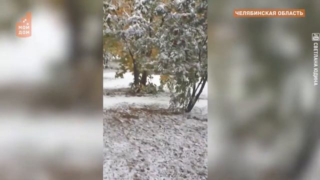 Полгода - плохая погода? Евгений Тишковец - о начале осени в Челябинске смотреть онлайн