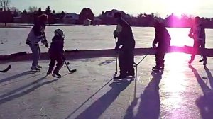 Backyard Hockey Game