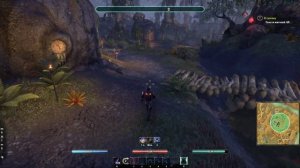 Elder Scrolls Online - В трясину