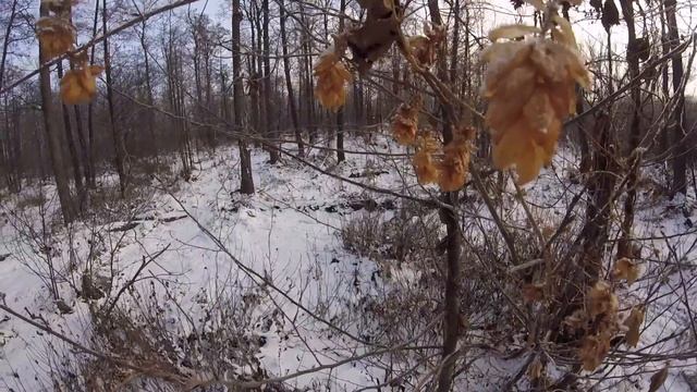 Как же чудестна природа! Часть 5 смотреть онлайн