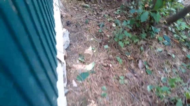 Живая изгородь, защита от пыли шлака. смотреть онлайн