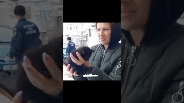 Котёнка Толика выманили голосом мамы-кошки