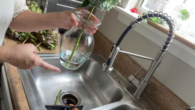 How to dry Hydrangea blooms смотреть онлайн