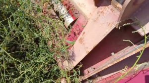 Безрядковая Жатка НАШ 7,4-09 экспресс-обзор от Константина Сорокина