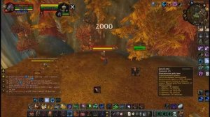 Гайд по ферал друиду пвп, арена 3 3 5 x100 лич кинг Орда