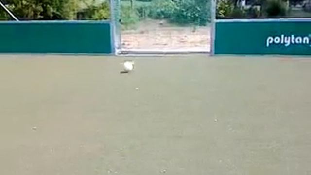 messi ribery ronaldo ronaldinho zidane diego смотреть онлайн