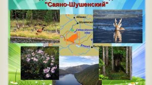 Путешествие по Красноярскому краю