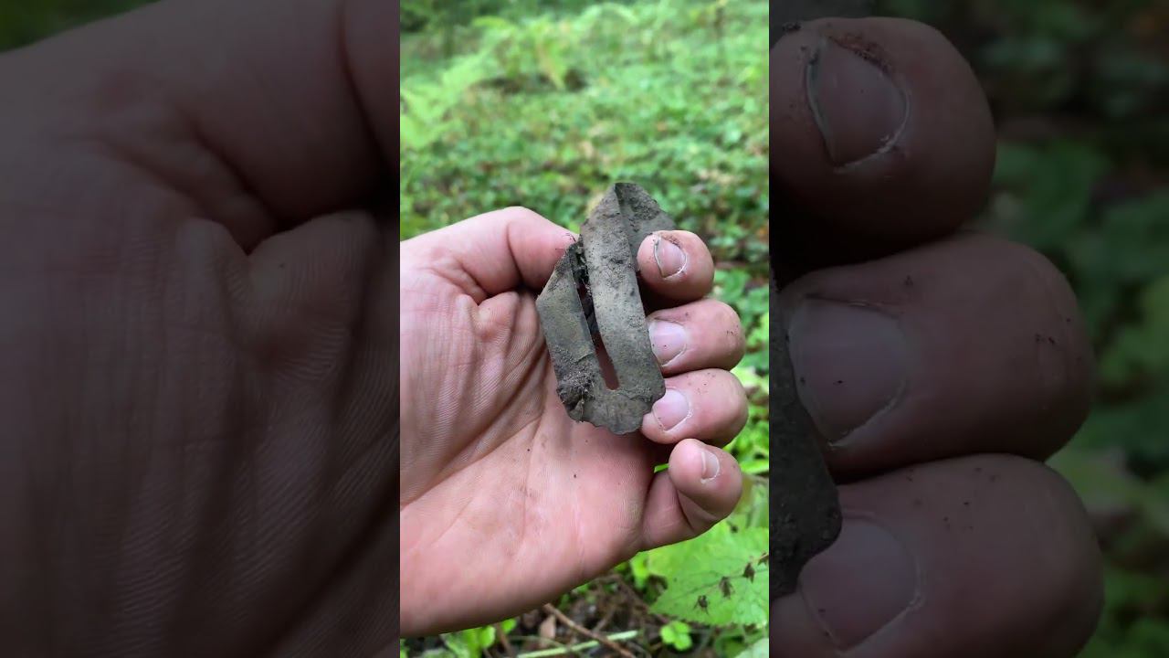 Находки были рядом !!! леснойскобарь2023 лес коп металлоискатель находкисметаллоискателем