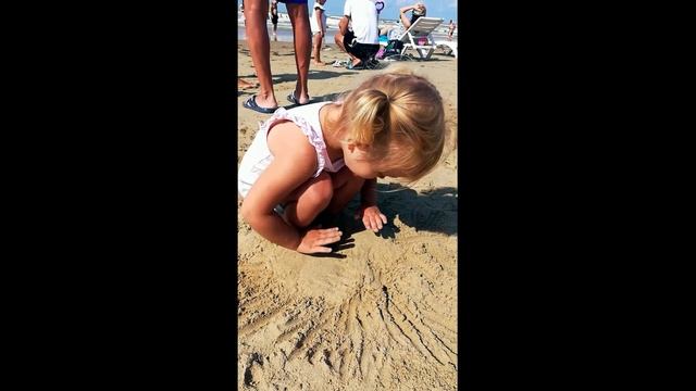 Поездка на море,  дети купаются в море и катаются на аттракционах. Видео для детей