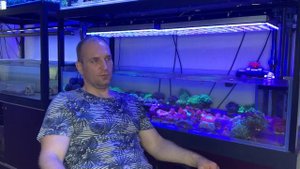 «Рифовый Аквариум» Кормление Кораллов. Часть 27