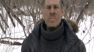 Воспитание  собак