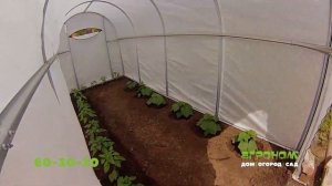 Распродажа теплиц и парников в Агрономе ( 0+)