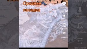 Must have этого лета : кружевные стринги - американки 💃🛍️Нижнее белье Губкин