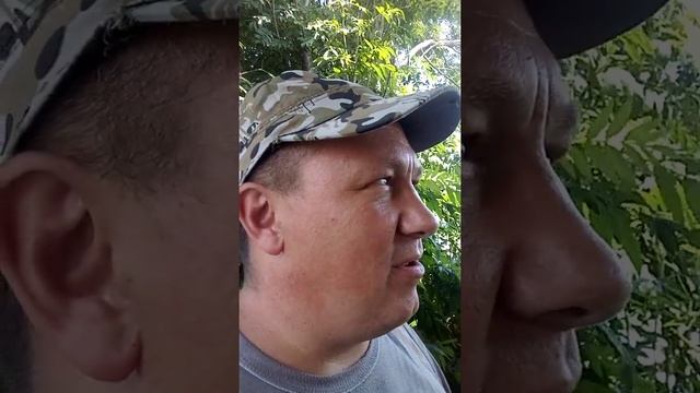 Он???#анекдот #юмор смотреть онлайн